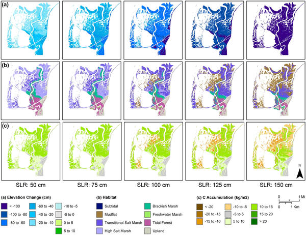 Can Coastal Habitats Rise To The Challenge Assessing Sediment Supply 
